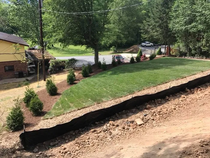 Finished lawn and new shrubs with silt fence protecting the graded slope below